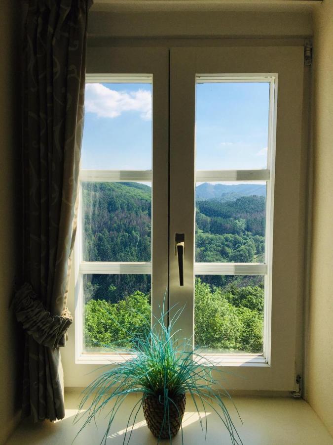 Schloss Wittgenstein Apartment Бад Ласфе Екстериор снимка