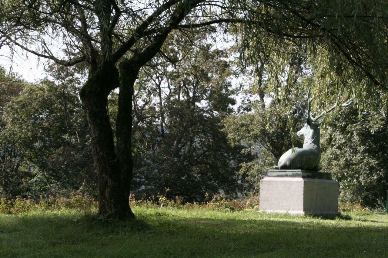 Schloss Wittgenstein Apartment Бад Ласфе Екстериор снимка